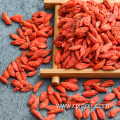 Top grade organic goji berries with Vitamin C